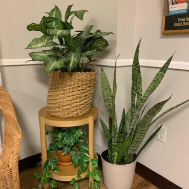 Mesquite Dental Office